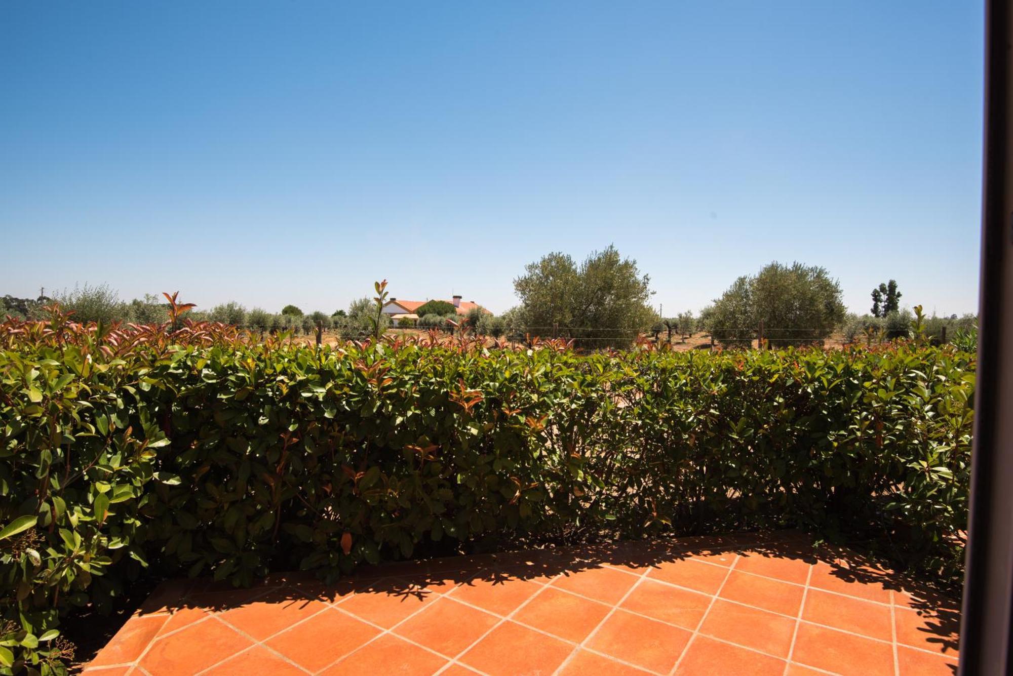 Vila Gale Alentejo Vineyard - Clube De Campo Albernoa Exterior photo