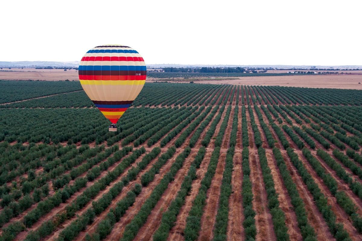 Vila Gale Alentejo Vineyard - Clube De Campo Albernoa Exterior photo