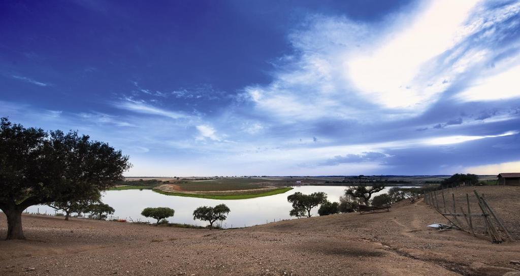 Vila Gale Alentejo Vineyard - Clube De Campo Albernoa Exterior photo
